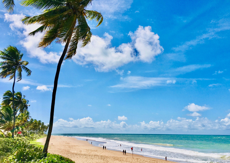 Praia do Forte Beach